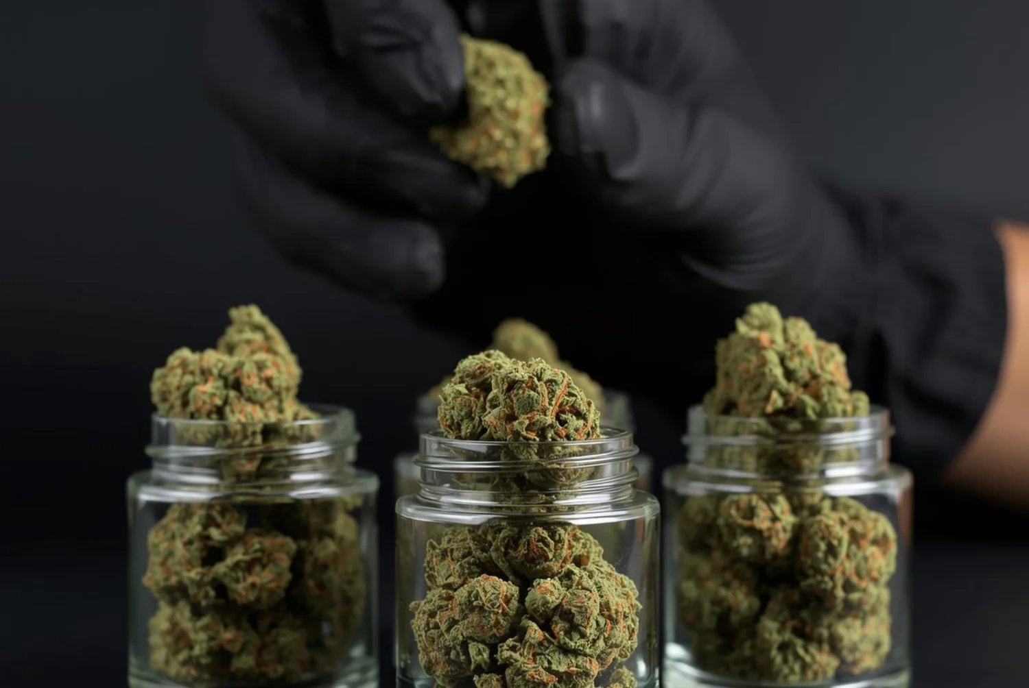L'Excellence du CBD Français